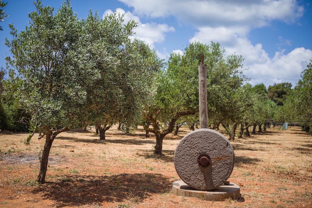 Vrysomylos Vromonerion Экстерьер фото